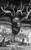 arbre-mort.jpg