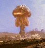 content,-le-champignon.jpg
