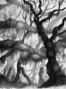 jungle.png