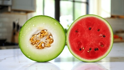 Melon, pastèque… Les deux faux amis de l’été ?