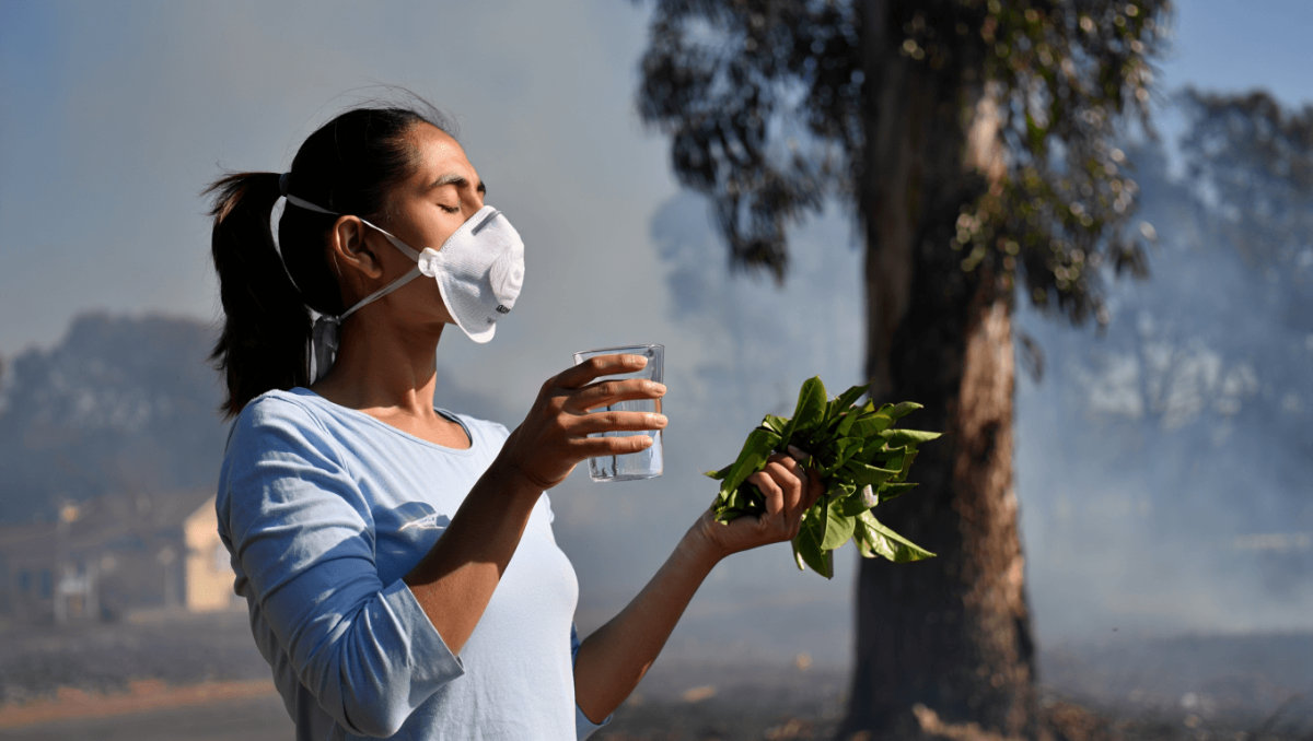 Fumées d'incendie : comment protéger ses poumons naturellement ?