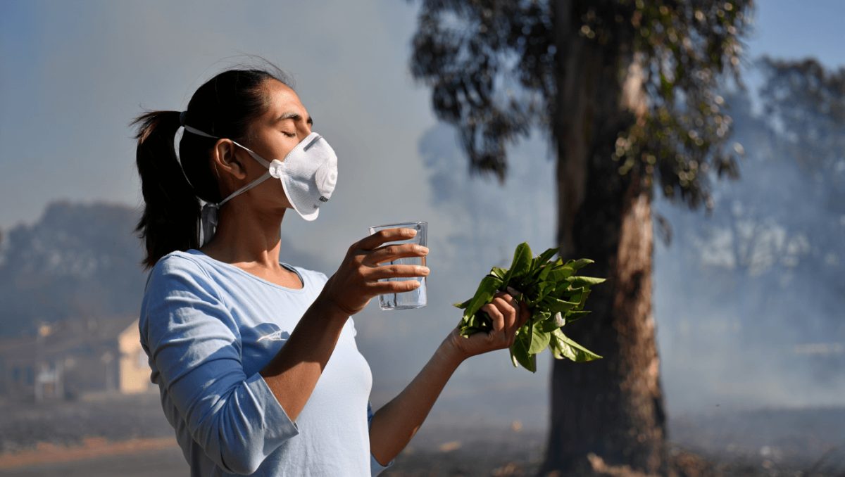 Fumées d'incendie : comment protéger ses poumons naturellement ?