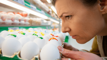 Vers la création d’un ‘Nutri-score’ du bien-être animal – Pour ou contre ?