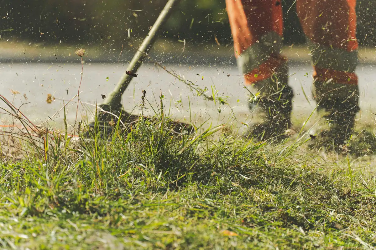 Tondeuse à gazon tondant l'herbe dans un jardin bien entretenu