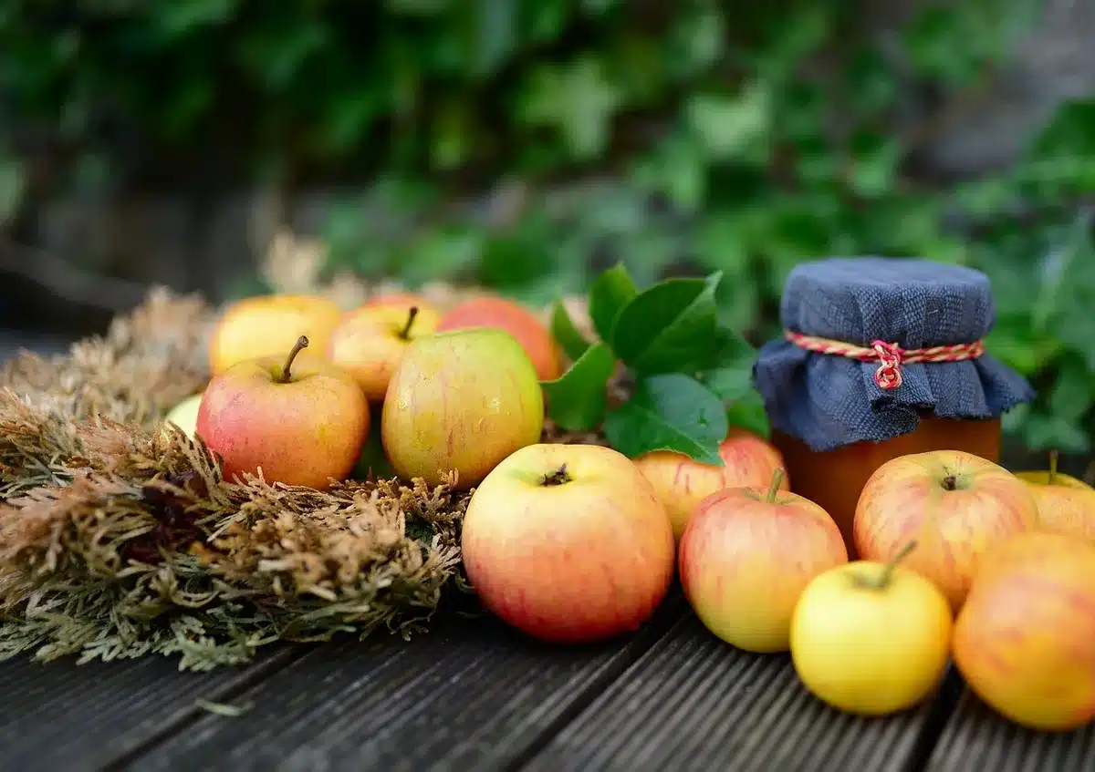 Pot de confiture de rhubarbe maison avec tiges pr&eacute;par&eacute;es