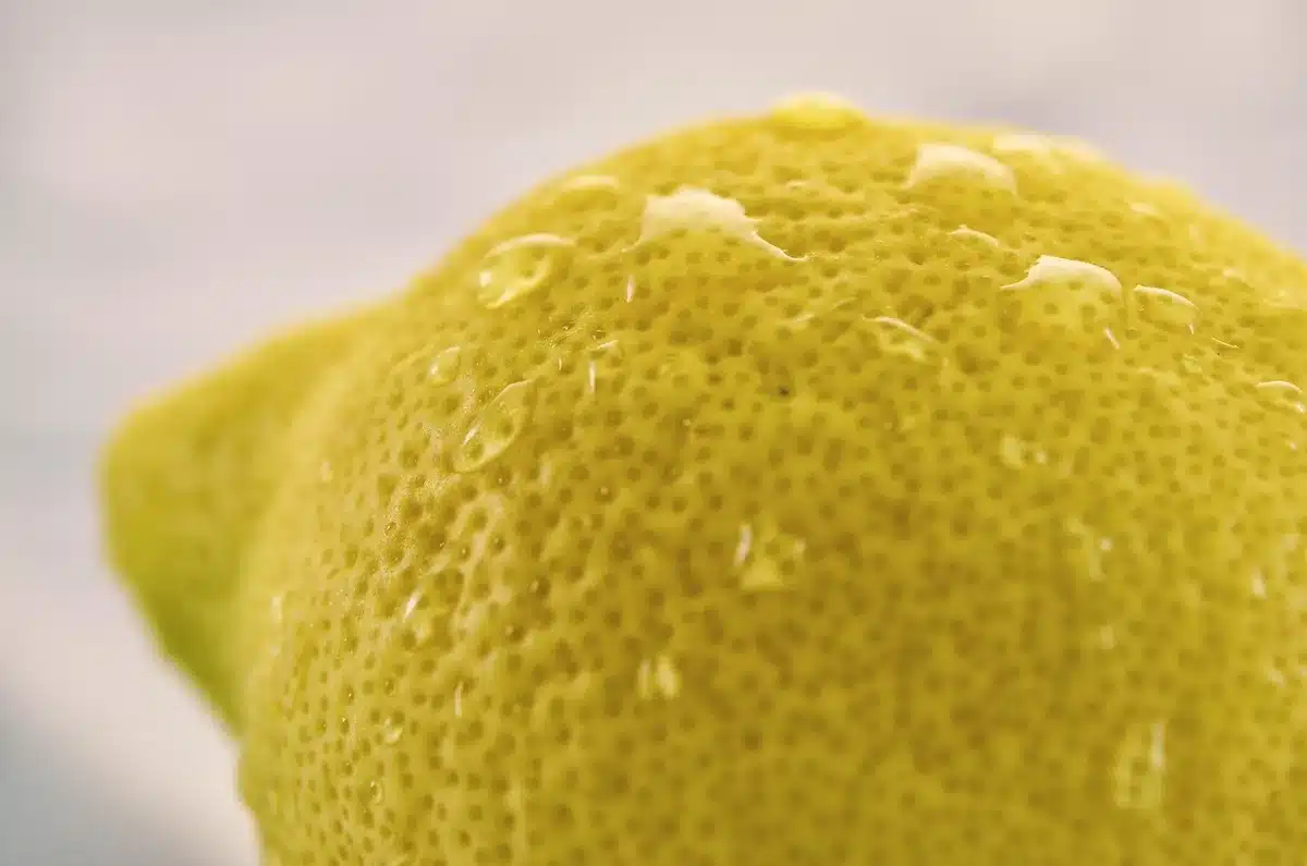 Tiramisu au citron dressé en portion avec zeste et feuille de menthe fraîche