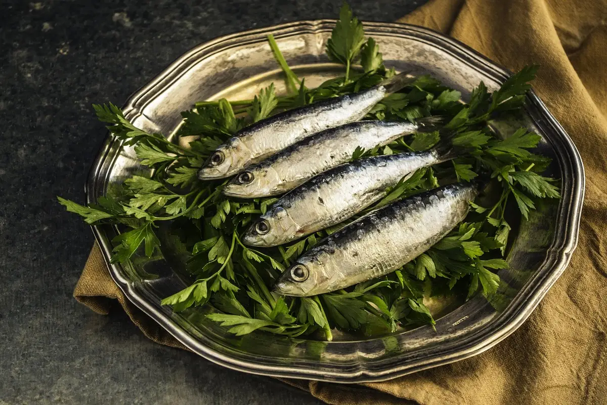 Assortiment de poissons gras (sardine, maquereau, saumon) sur une assiette