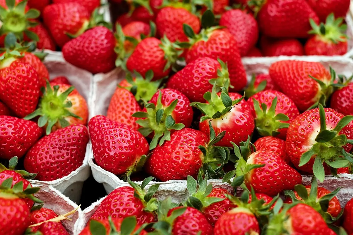 Tasses de compote maison et fruits très mûrs préparés pour la cuisson