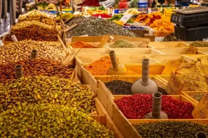 Assortiment de tomates fraîches de différentes variétés et couleurs sur une surface en bois
