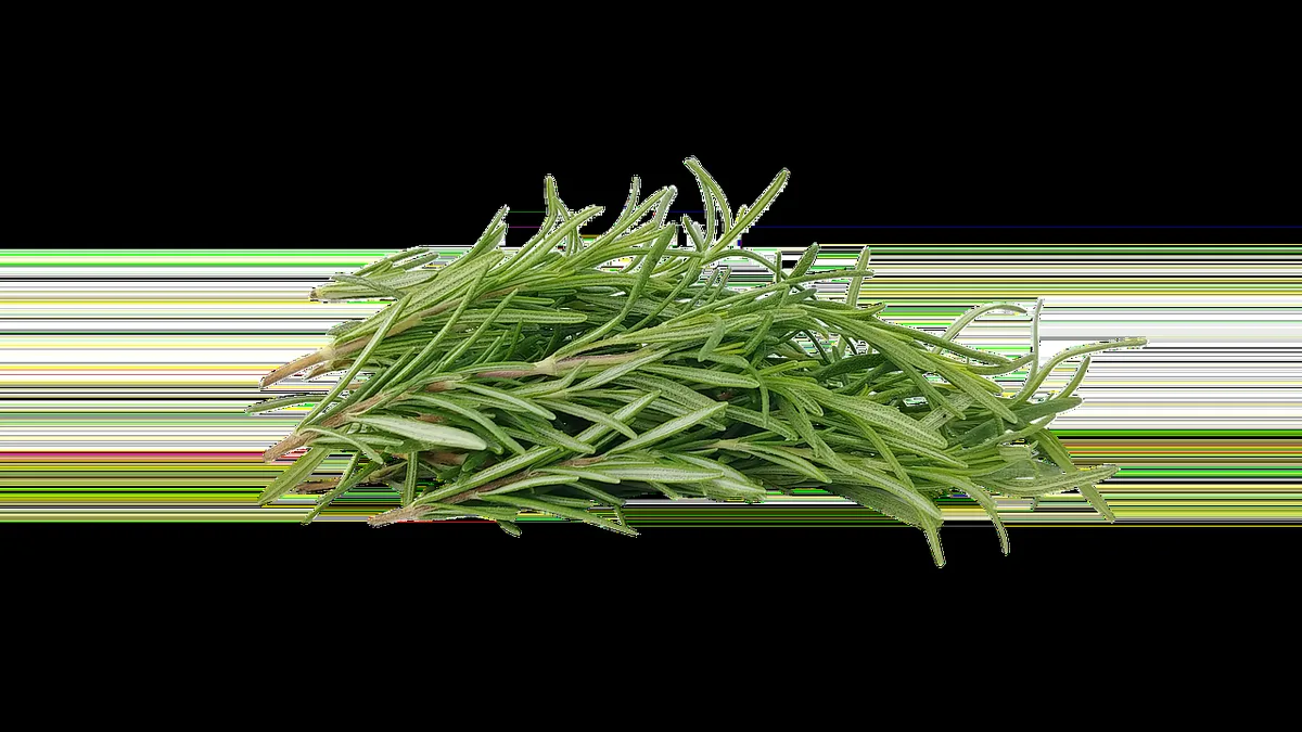 Ingrédients frais et herbes pour cuisiner en réduisant le sel