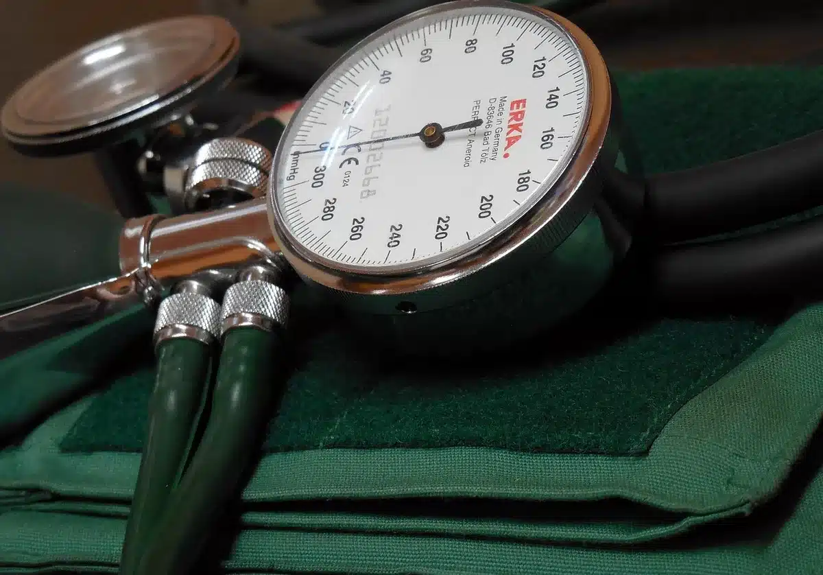 Sch&eacute;ma simple montrant rein et circulation sanguine expliquant &eacute;limination du sodium