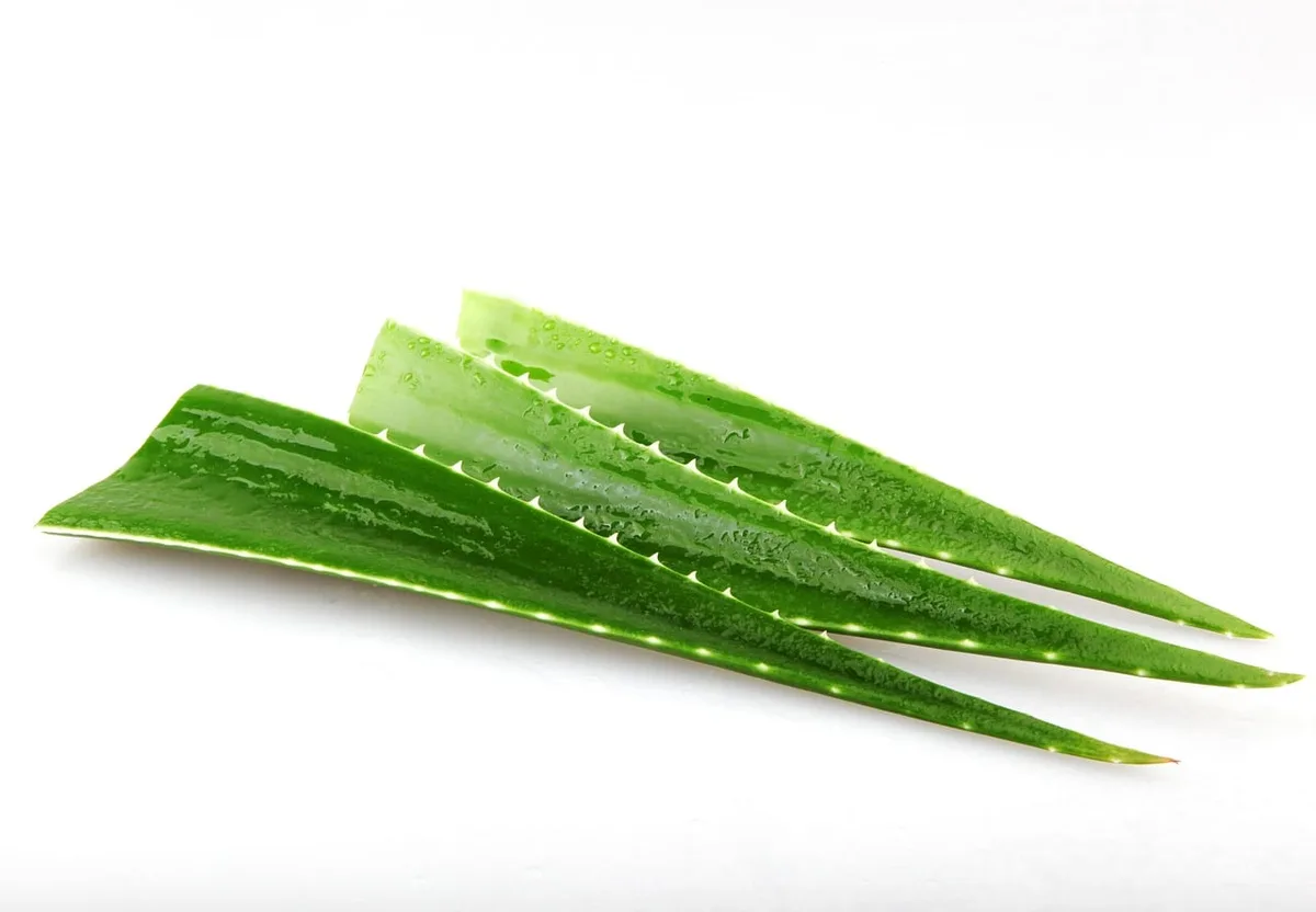Personne effectuant une inhalation de vapeur avec des herbes pour dégager les voies nasales