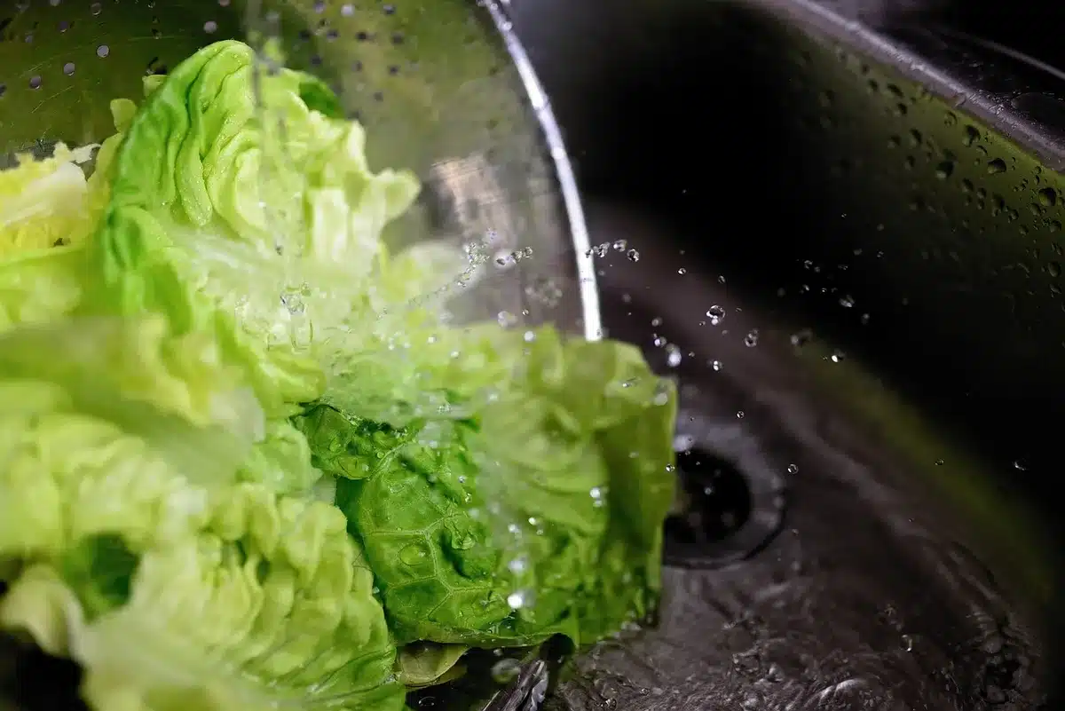 Feuilles sauvages rincées dans un évier et posées sur un torchon