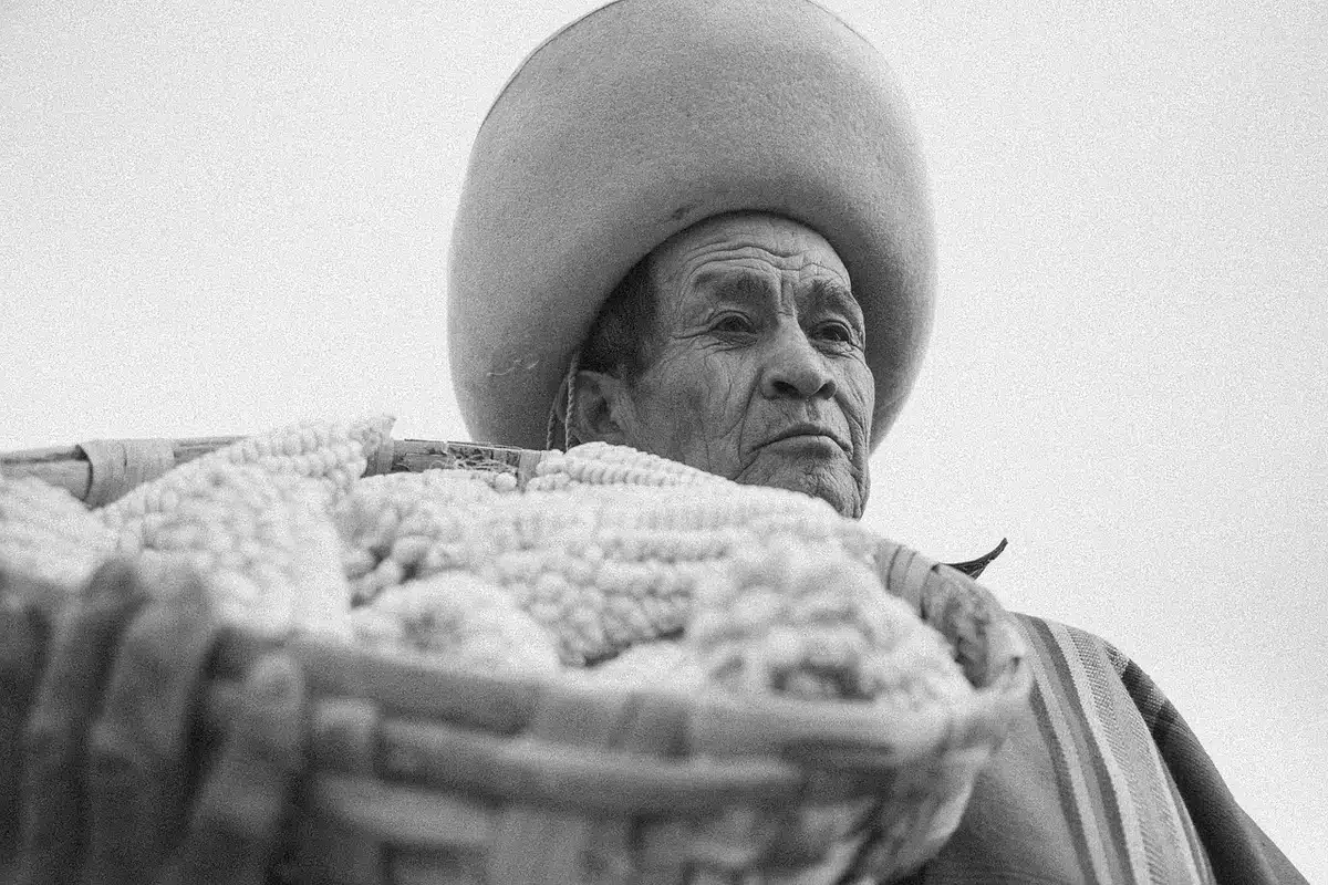 Panier de légumes printaniers au marché avec asperges et radis