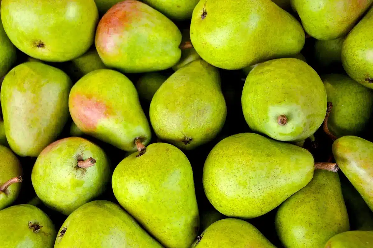 Sélection de blettes fraîches au marché avec feuilles vertes et côtes fermes