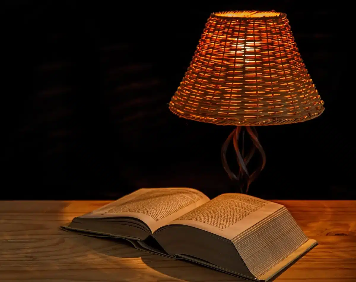 Lecture au fauteuil sous une lumière chaude avant le coucher