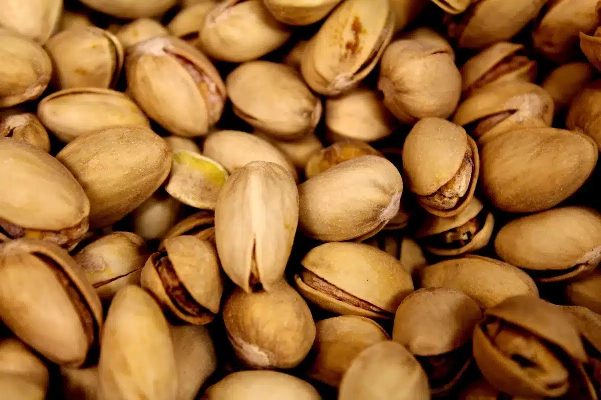 Bulbe de fenouil coupé montrant texture et graines, illustrant ses nutriments