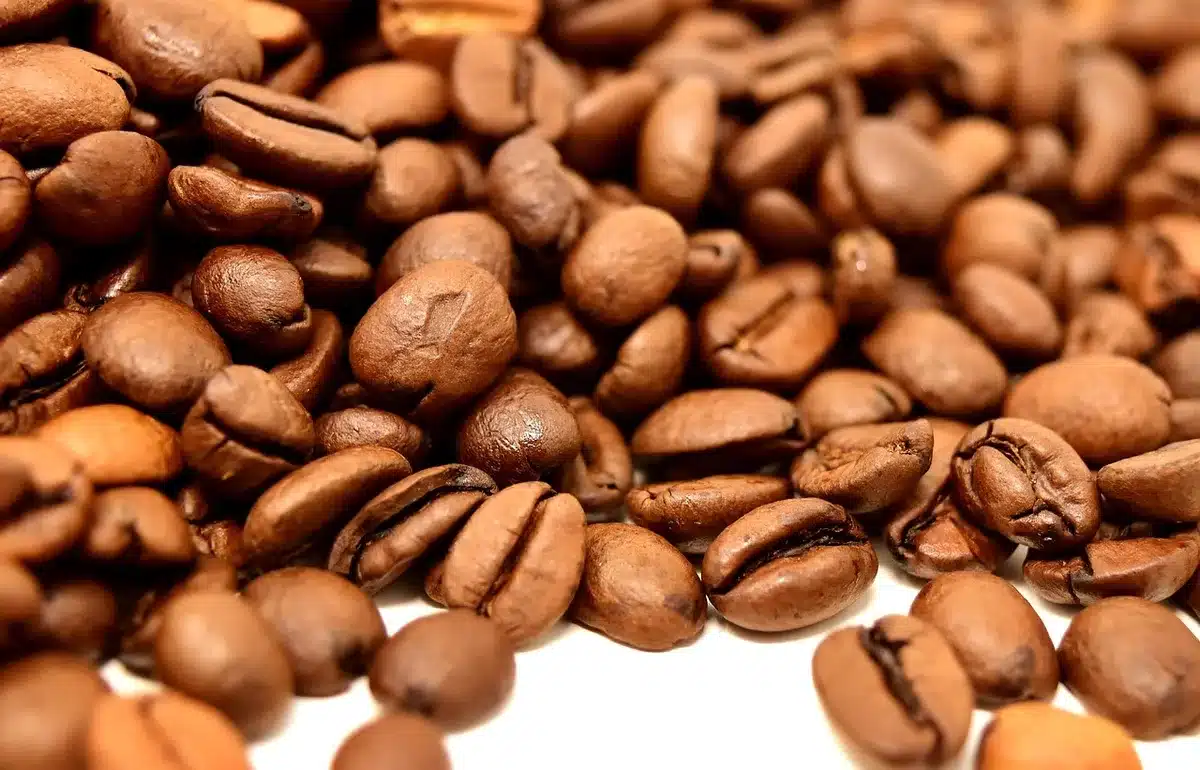 Gros plan sur grains de riz noir montrant leur teinte pourpre